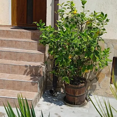 Hristovi Ахелой