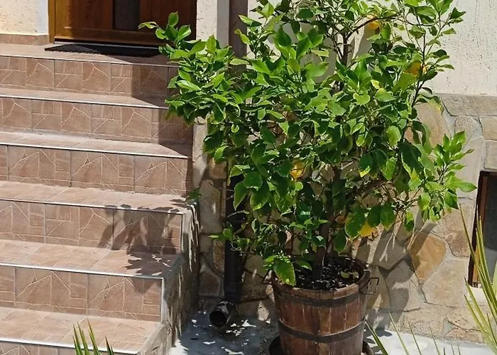 Hristovi Ахелой