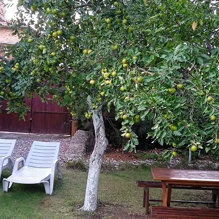 Guest house Hristovi 2*